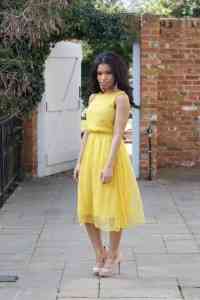 pantofi cu platforma