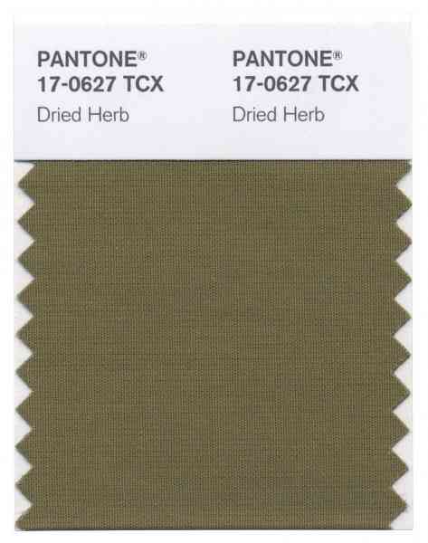 ce-culori-se-poarta-in-2015-6jpg-473x600